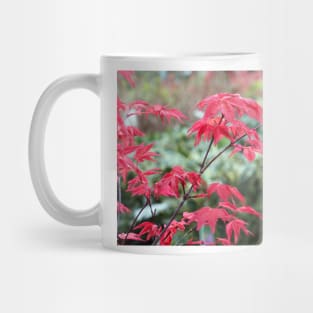 Red Japanese Maple Leaves Mug